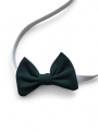 Photoroom-20241212_123121_10.png