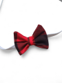 Photoroom-20241212_123121_4.png